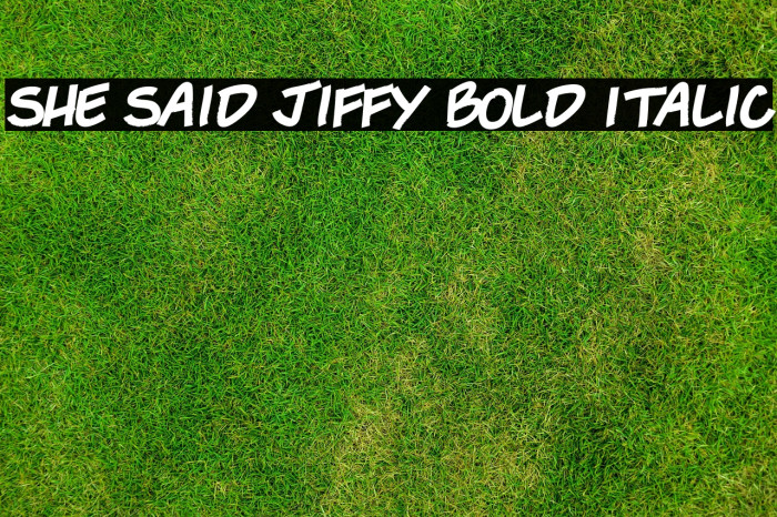 She Said Jiffy Bold Italic Example 3