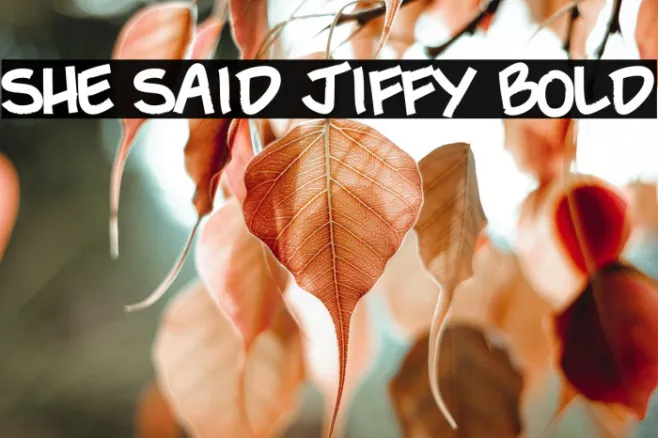 She Said Jiffy Bold Example 2