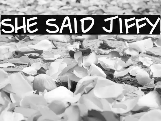 She Said Jiffy Font examples