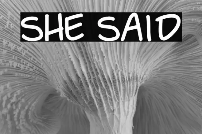 She Said Font examples