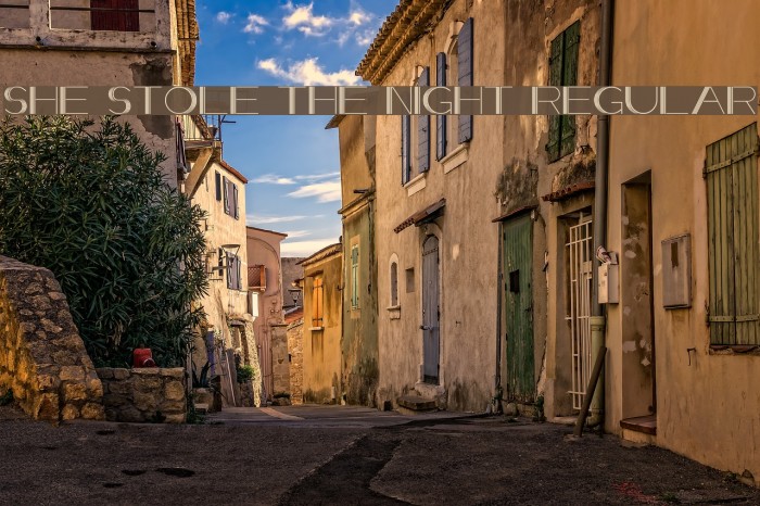 She Stole the Night Regular Example 1