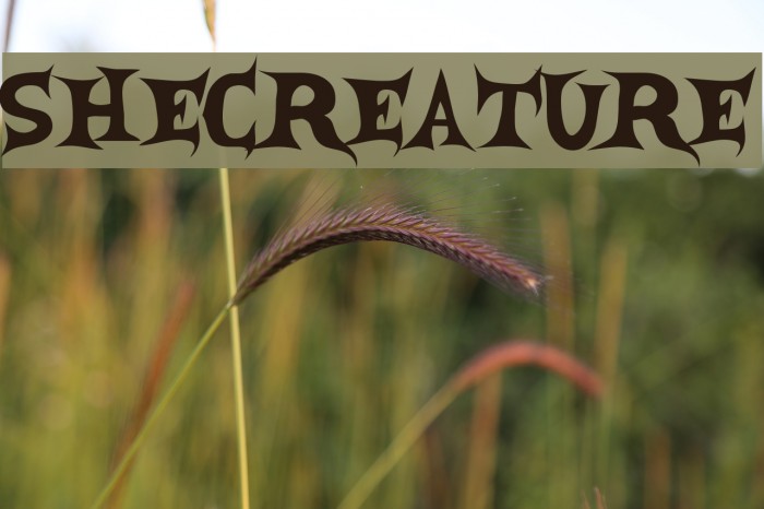 SheCreature Font examples