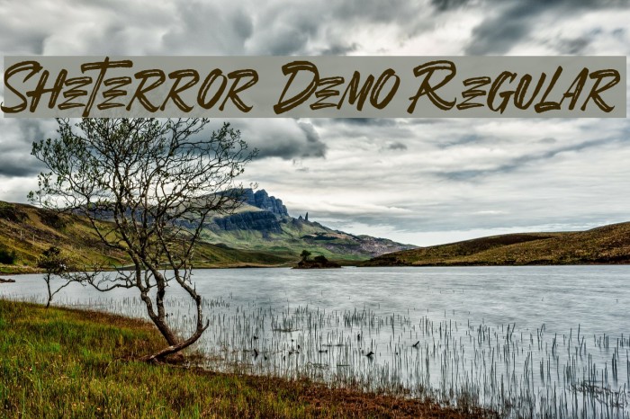 SheTerror Demo Regular Example 2