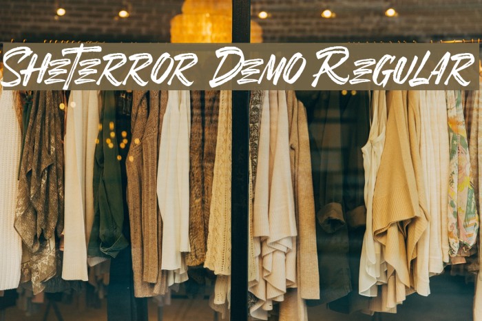 SheTerror Demo Regular Example 3