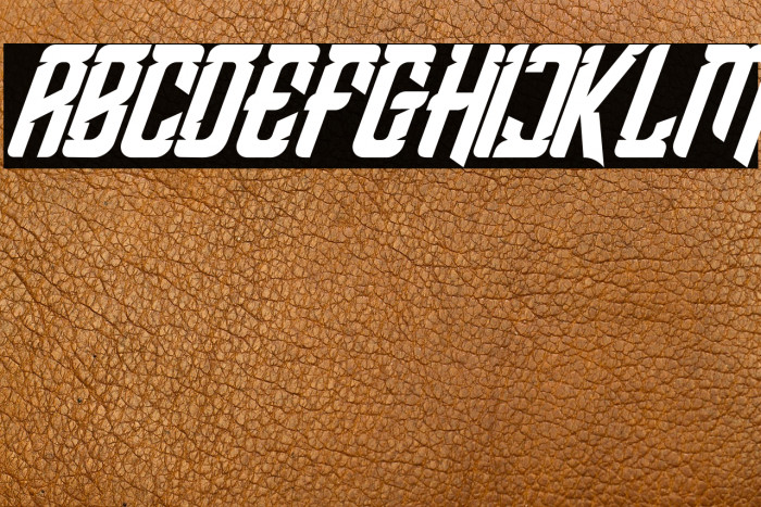 Shean Holmes Italic Example 2