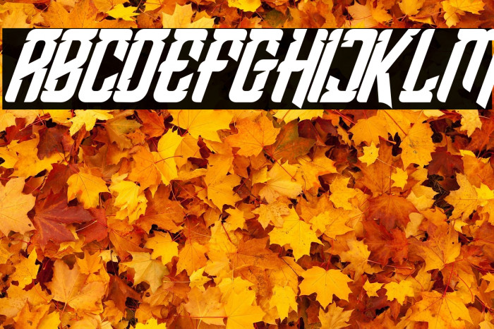 Shean Holmes Italic Example 3