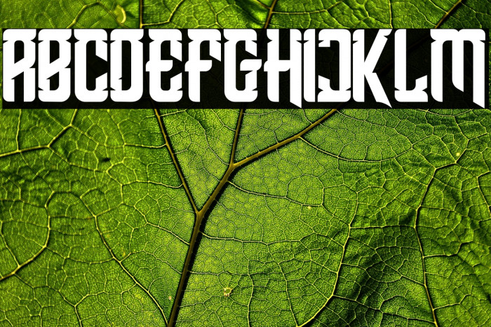 Shean Holmes Example 1