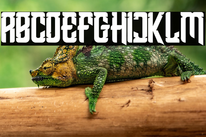 Shean Holmes Example 2