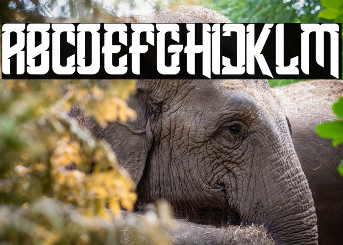 Shean Holmes Example 3