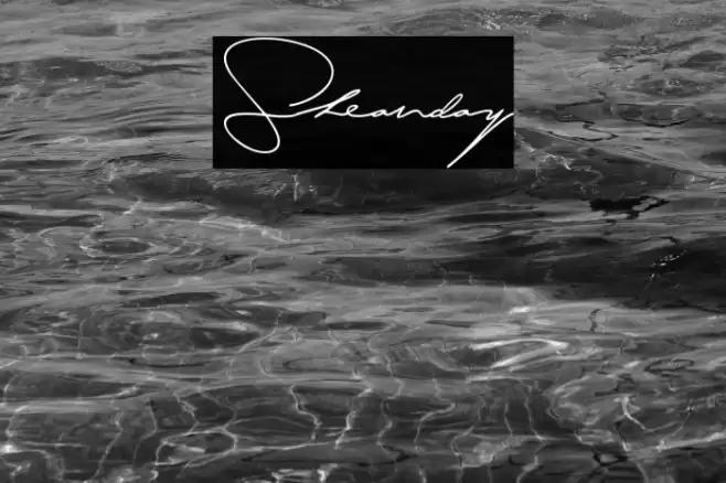 Sheanday Polices examples