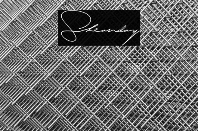 Sheanday Polices examples