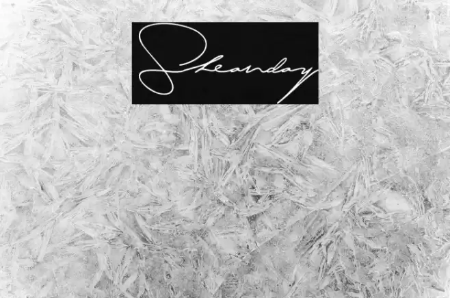 Sheanday Polices examples