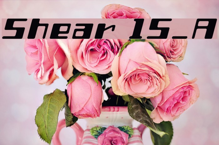 Shear 15_A Example 2