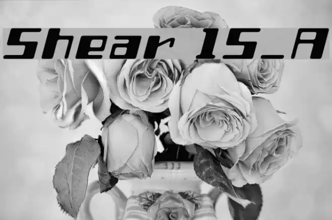 Shear 15_A Font examples
