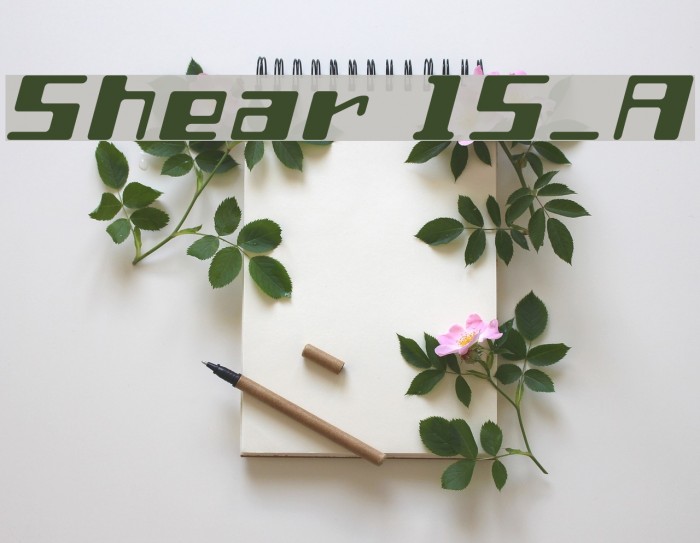 Shear 15_A Example 3