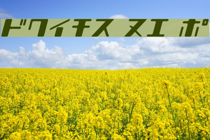 Shear 15_K Font examples
