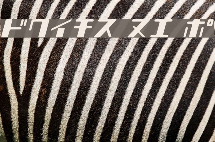 Shear 15_K Font examples