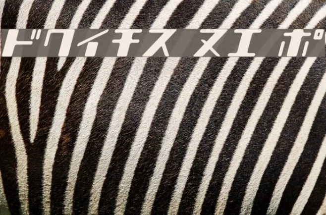 Shear 15_K Example 3