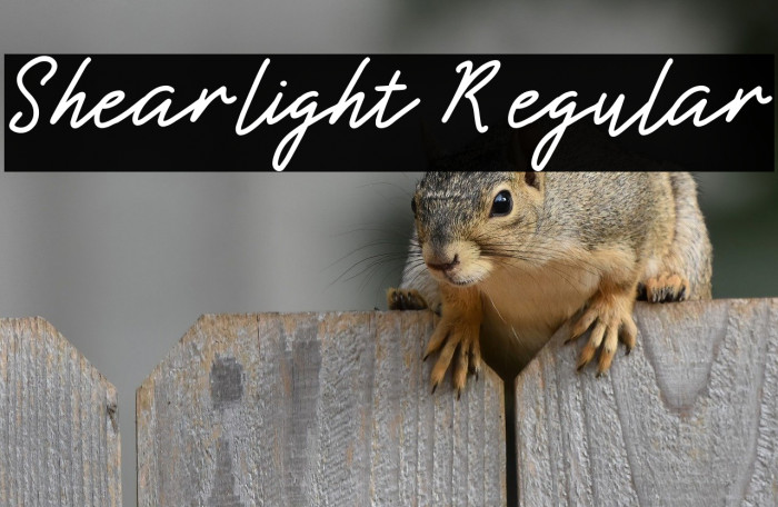 Shearlight Regular Example 1