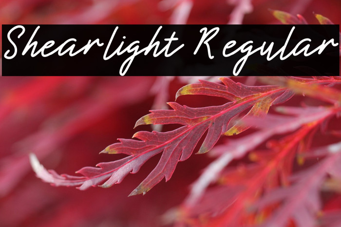 Shearlight Regular Example 3