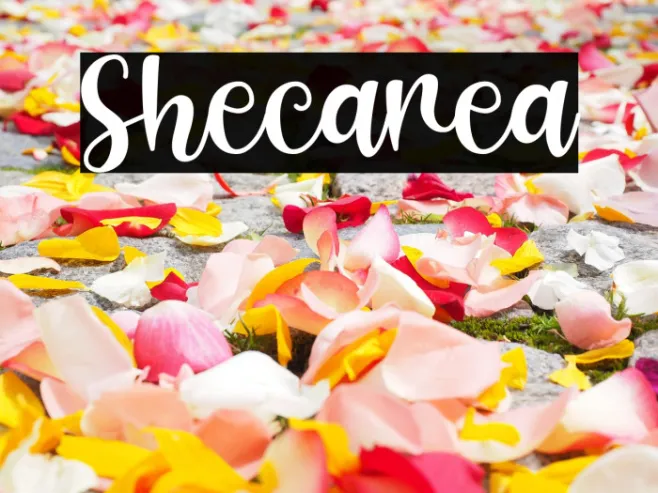 Shecarea Example 1