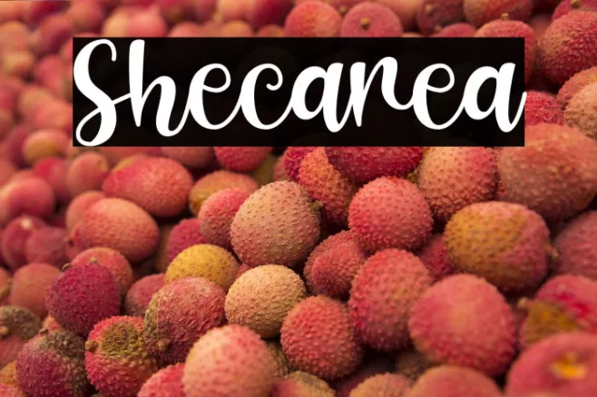 Shecarea Example 2