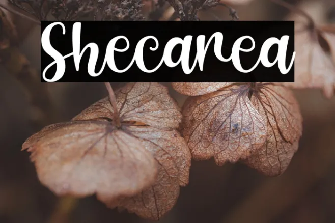 Shecarea Example 3