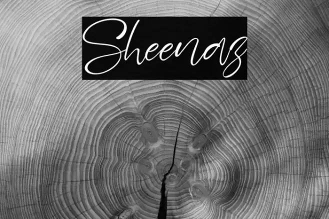 Sheenaz Font examples