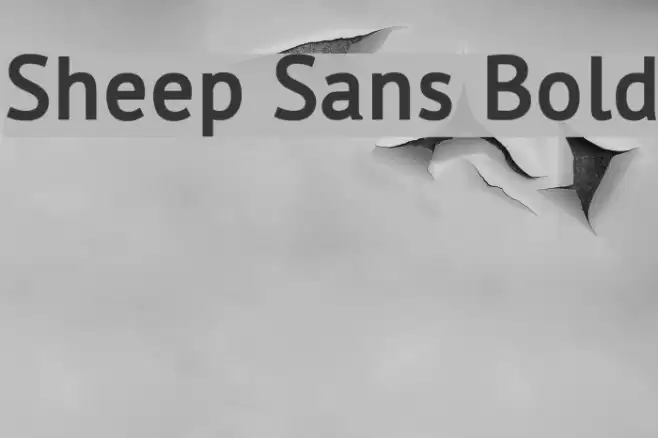 Sheep Sans Bold Font examples