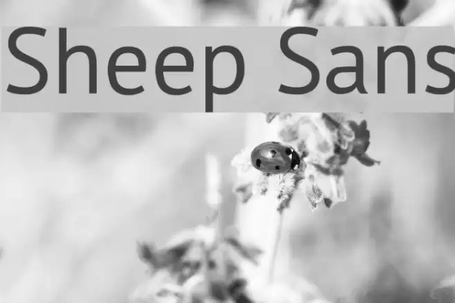 Sheep Sans Font examples