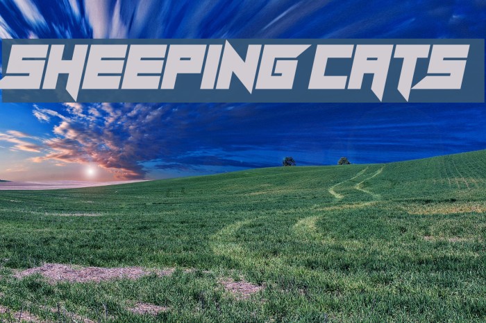 Sheeping Cats Example 1