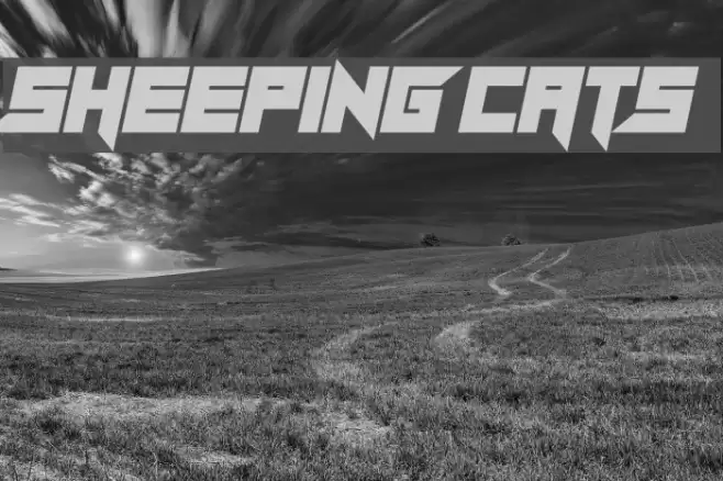 Sheeping Cats Font examples