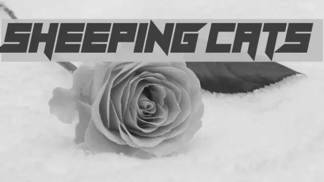 Sheeping Cats Font examples