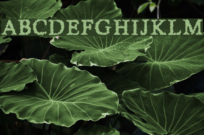 Sheer Terror Font examples