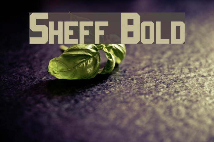 Sheff Bold Font examples