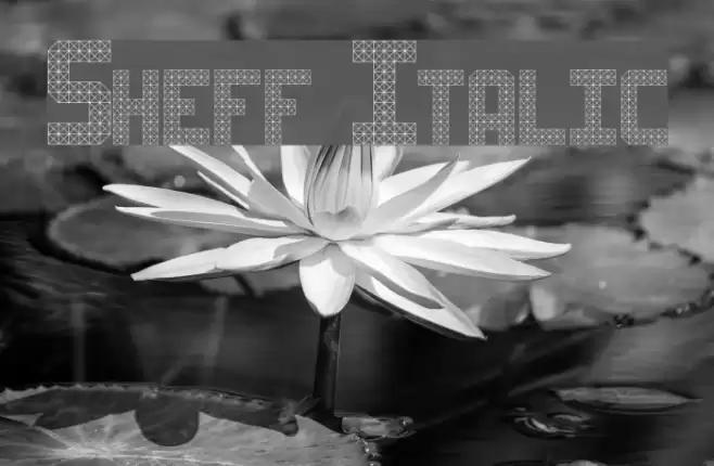 Sheff Italic Font examples