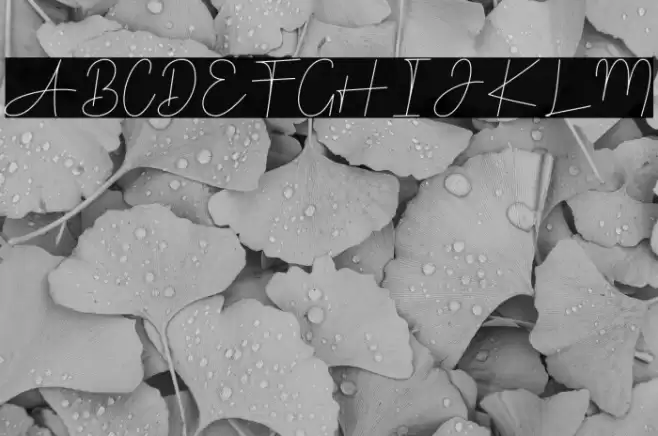 Sheffield Font examples