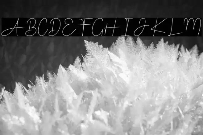 Sheffield Font examples