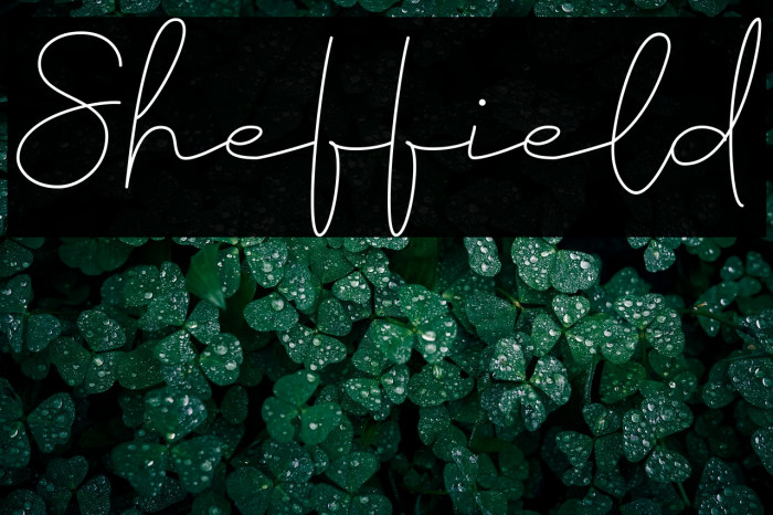 Sheffield Example 1