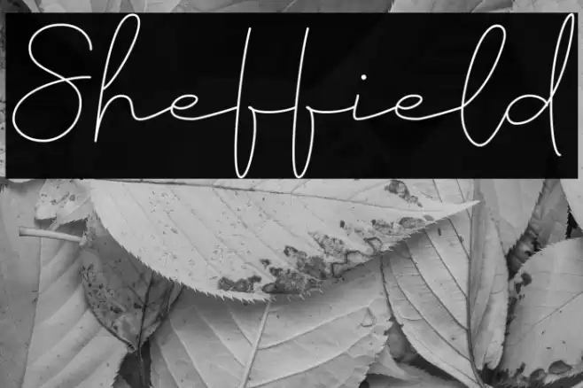 Sheffield Font examples