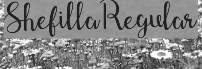 Shefilla-Regular Font examples