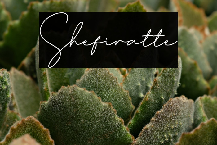 Shefiratte Example 3