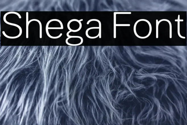 Shega Example 1