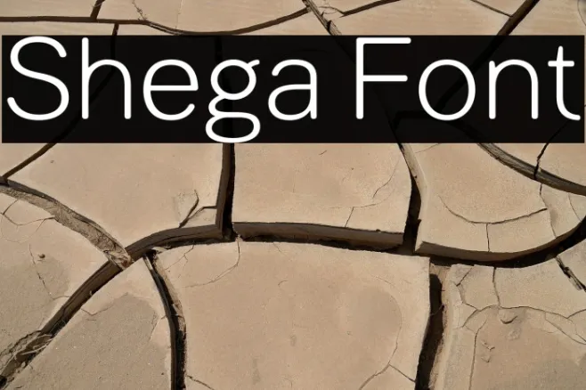 Shega Example 2