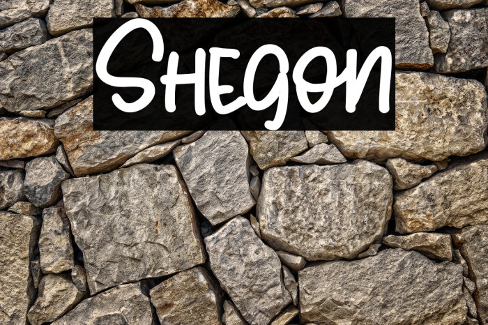 Shegon Example 1