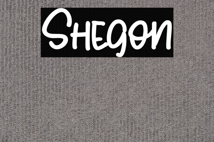 Shegon Example 2