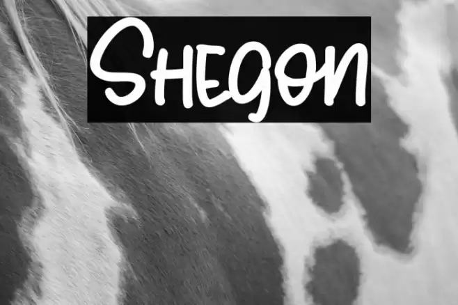 Shegon Caratteri examples