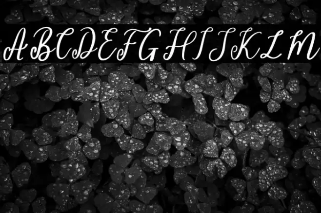 Sheila Font examples