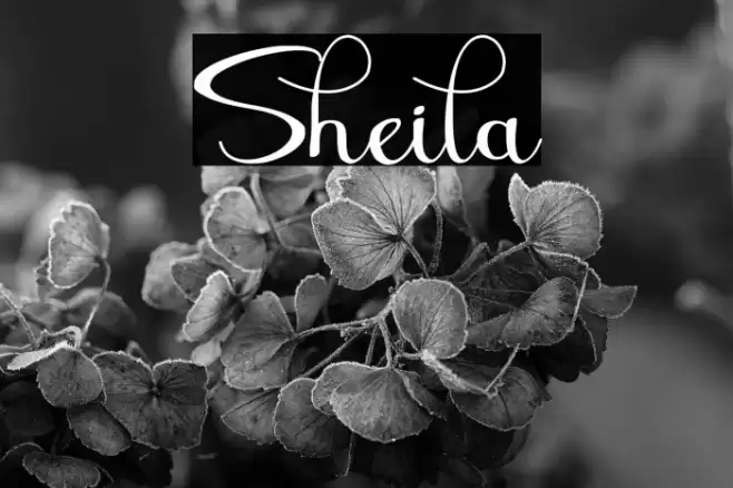 Sheila Font examples