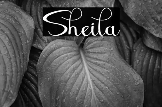 Sheila Font examples